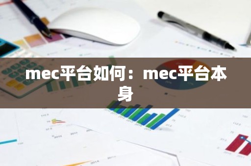 mec平台如何：mec平台本身