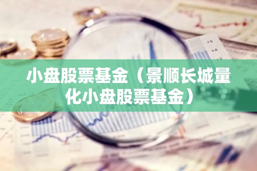 小盘股票基金（景顺长城量化小盘股票基金）