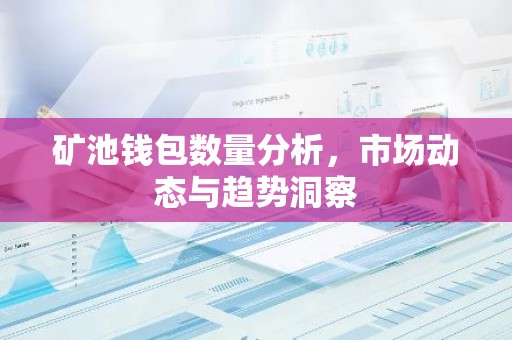 矿池钱包数量分析，市场动态与趋势洞察