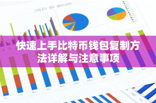 快速上手比特币钱包复制方法详解与注意事项