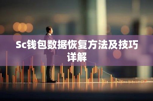 Sc钱包数据恢复方法及技巧详解