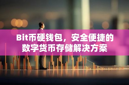 Bit币硬钱包，安全便捷的数字货币存储解决方案