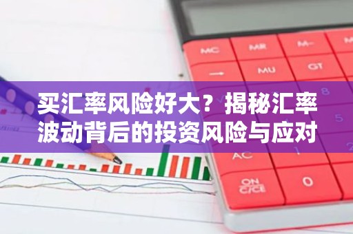 买汇率风险好大？揭秘汇率波动背后的投资风险与应对策略