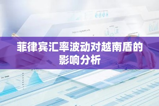 菲律宾汇率波动对越南盾的影响分析