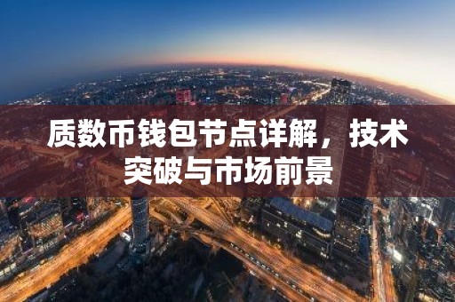 质数币钱包节点详解，技术突破与市场前景