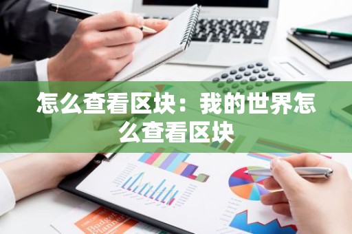 怎么查看区块：我的世界怎么查看区块