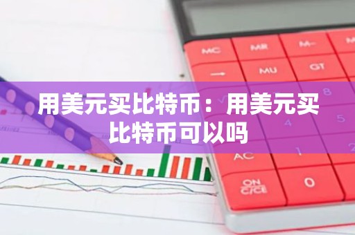 用美元买比特币：用美元买比特币可以吗