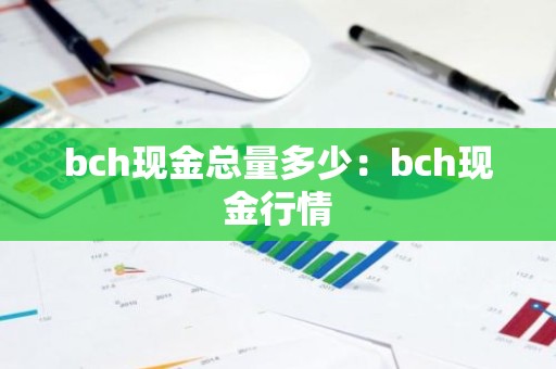bch现金总量多少：bch现金行情