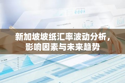 新加坡坡纸汇率波动分析，影响因素与未来趋势