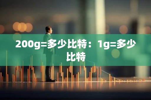 200g=多少比特：1g=多少比特