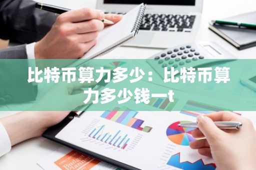 比特币算力多少：比特币算力多少钱一t