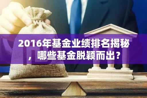 2016年基金业绩排名揭秘，哪些基金脱颖而出？