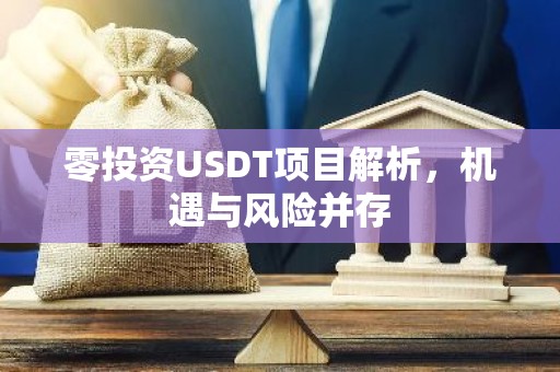 零投资USDT项目解析，机遇与风险并存
