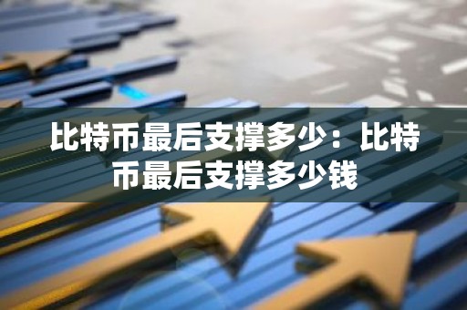 比特币最后支撑多少：比特币最后支撑多少钱