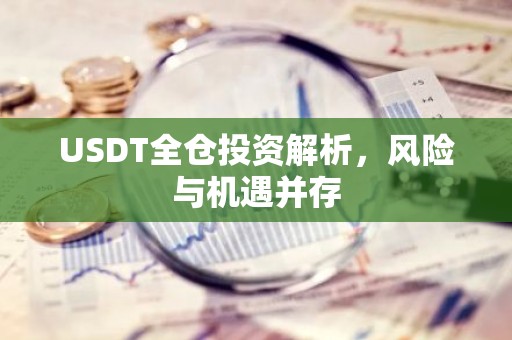 USDT全仓投资解析，风险与机遇并存