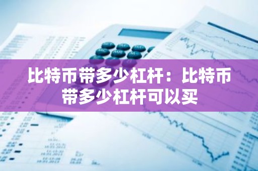 比特币带多少杠杆：比特币带多少杠杆可以买
