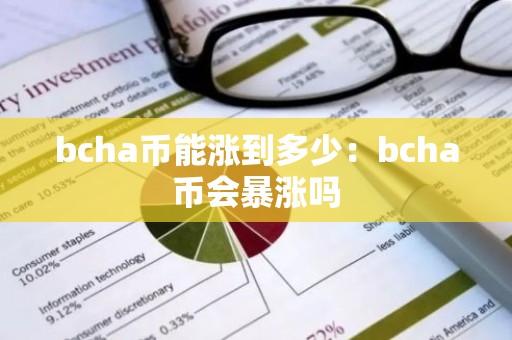 bcha币能涨到多少：bcha币会暴涨吗