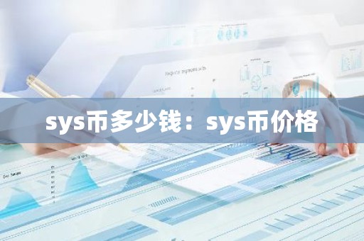 sys币多少钱：sys币价格