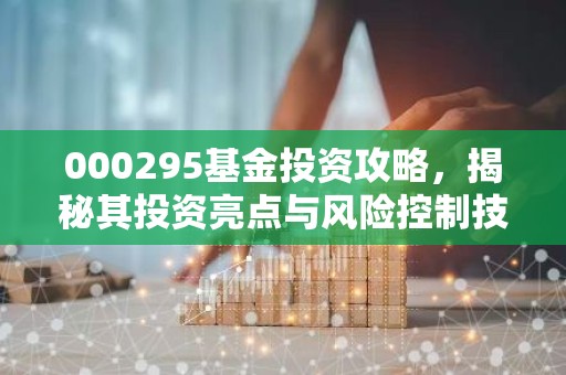 000295基金投资攻略，揭秘其投资亮点与风险控制技巧