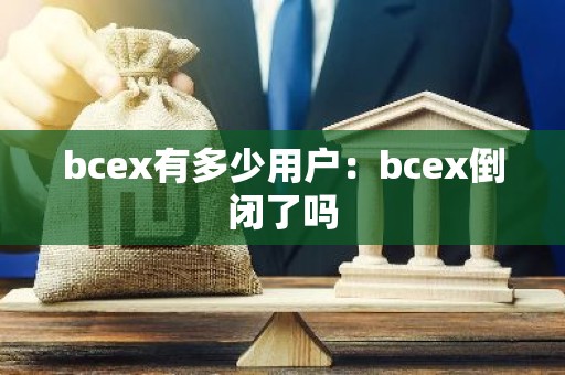 bcex有多少用户：bcex倒闭了吗