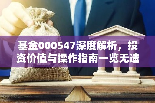 基金000547深度解析，投资价值与操作指南一览无遗