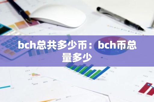 bch总共多少币：bch币总量多少