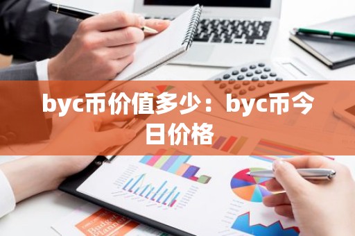 byc币价值多少：byc币今日价格