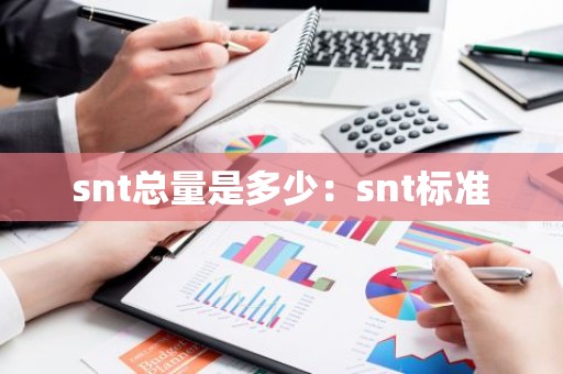 snt总量是多少：snt标准