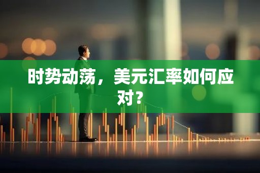 时势动荡，美元汇率如何应对？