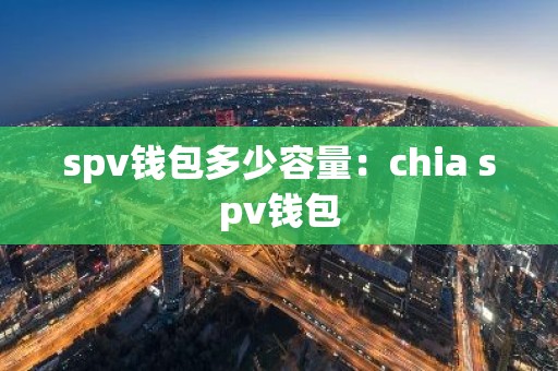 spv钱包多少容量：chia spv钱包