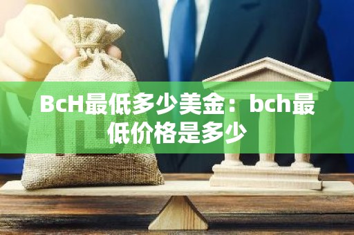 BcH最低多少美金：bch最低价格是多少