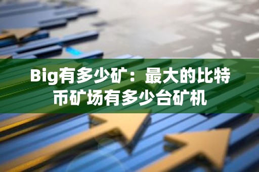 Big有多少矿：最大的比特币矿场有多少台矿机