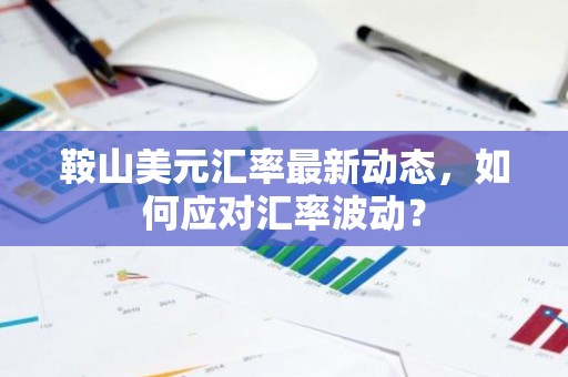 鞍山美元汇率最新动态，如何应对汇率波动？