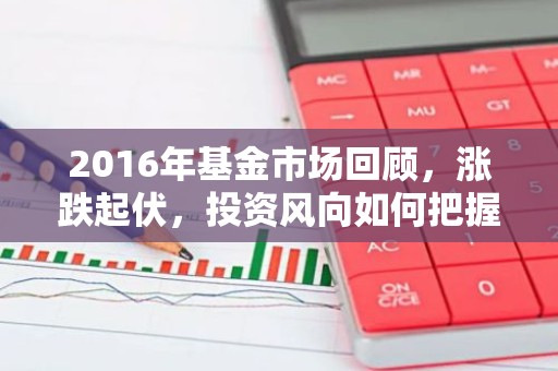 2016年基金市场回顾，涨跌起伏，投资风向如何把握？