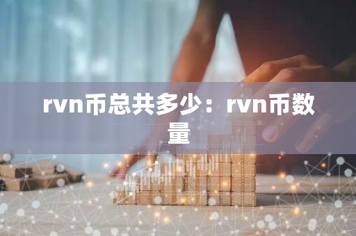 rvn币总共多少：rvn币数量