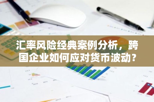 汇率风险经典案例分析，跨国企业如何应对货币波动？