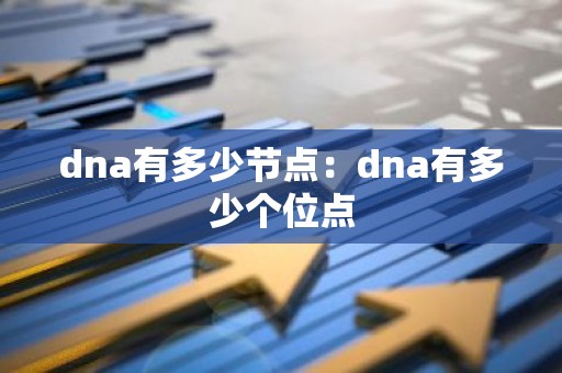dna有多少节点：dna有多少个位点