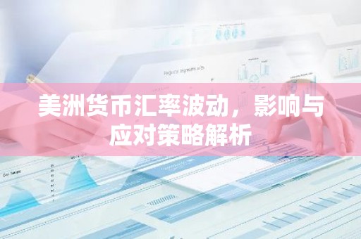 美洲货币汇率波动，影响与应对策略解析