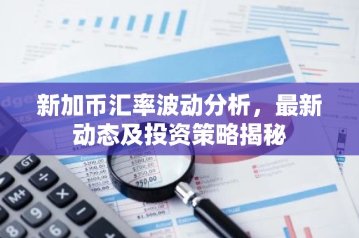 新加币汇率波动分析，最新动态及投资策略揭秘