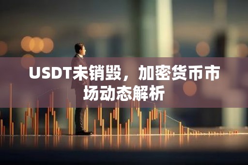 USDT未销毁，加密货币市场动态解析
