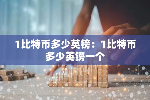 1比特币多少英镑：1比特币多少英镑一个