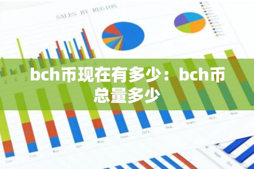 bch币现在有多少：bch币总量多少