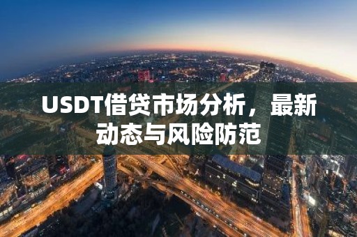 USDT借贷市场分析，最新动态与风险防范