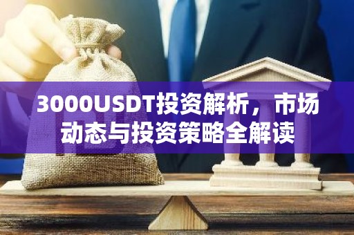 3000USDT投资解析，市场动态与投资策略全解读