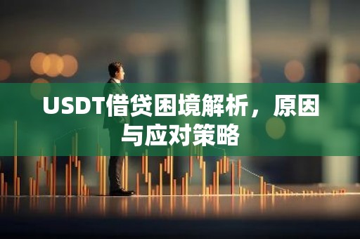 USDT借贷困境解析，原因与应对策略