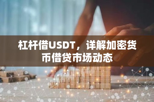 杠杆借USDT，详解加密货币借贷市场动态