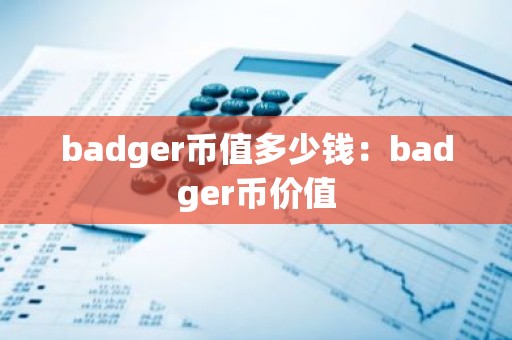 badger币值多少钱：badger币价值