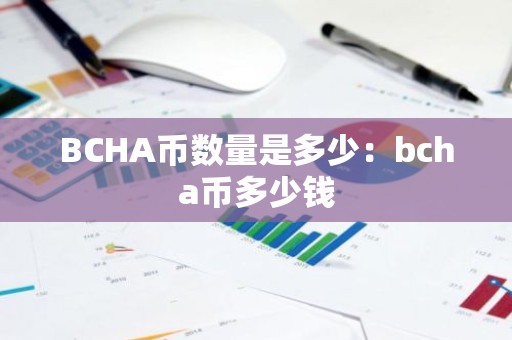 BCHA币数量是多少：bcha币多少钱