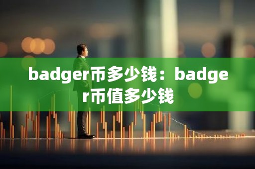 badger币多少钱：badger币值多少钱