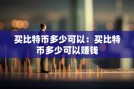 买比特币多少可以：买比特币多少可以赚钱